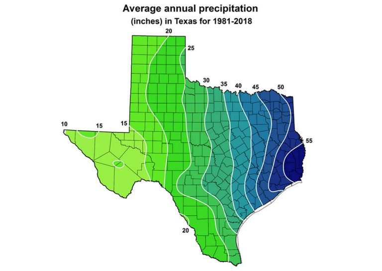 Rainwater Harvesting for Wildlife - Wildlife Exemption in Texas