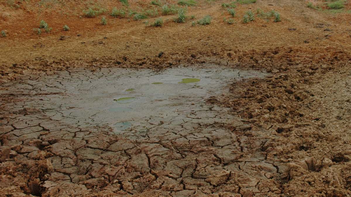 Rainwater Collection is Often Better than Pond Construction.