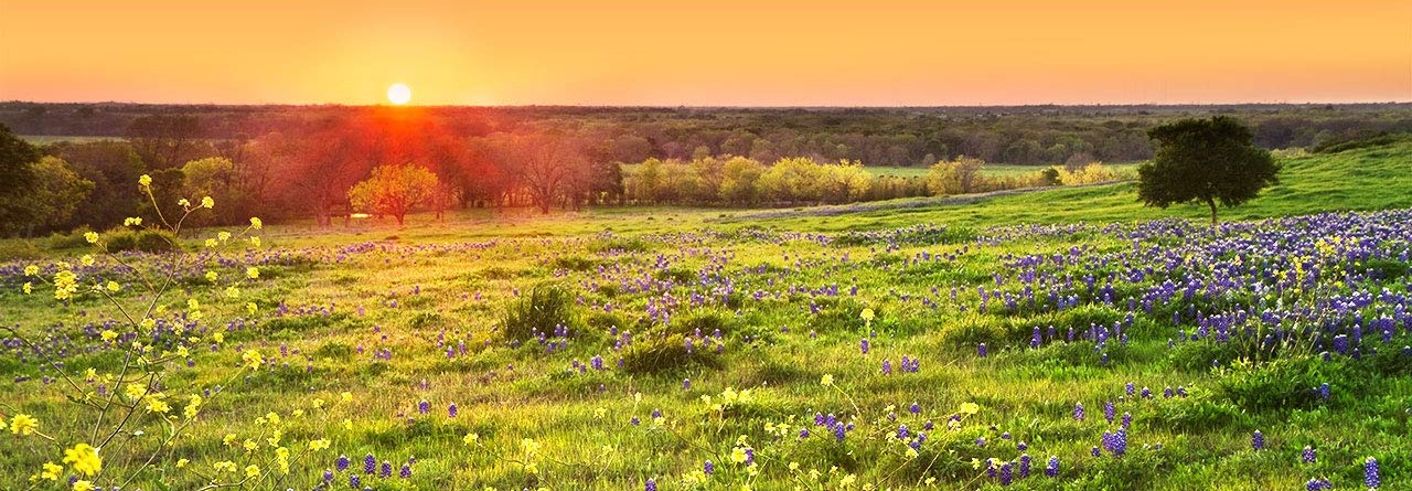 Get an Ag Appraisal on Texas Land.