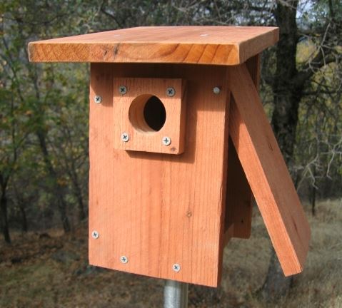 A nest box placed out for eastern bluebirds.