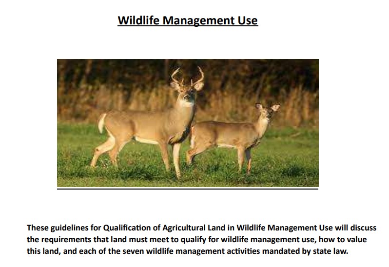 Wildlife Exemption in Guadalupe County, Texas