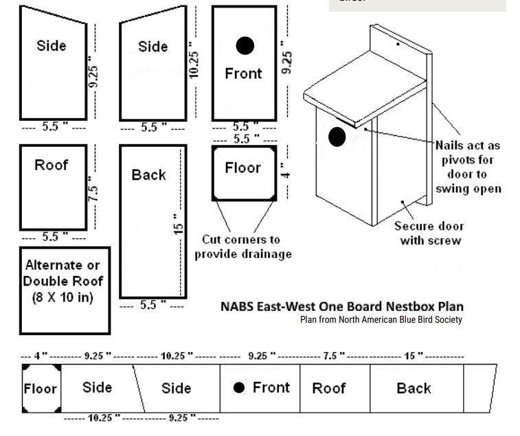 Nest Box Design for Birds
